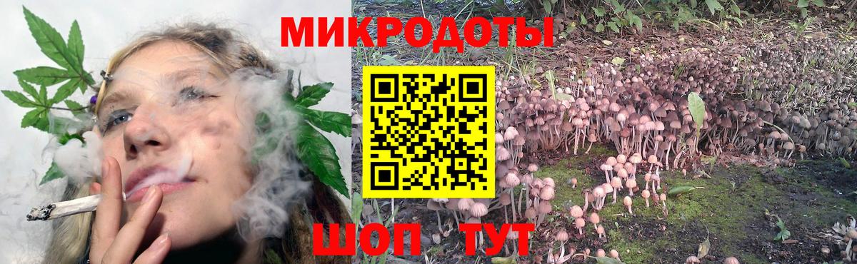 Псилоцибиновые грибы Psilocybe  Вход с VPN  Асино 